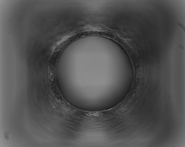 X0000101211303200807181409