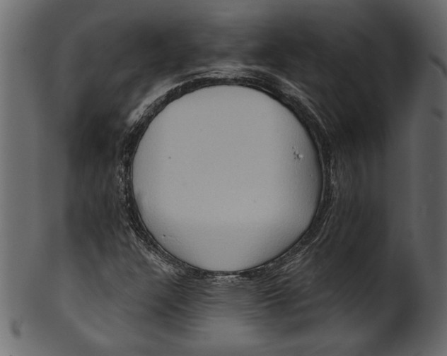 X0000101211304200807181409