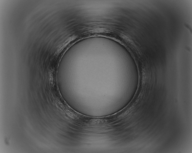 X0000101211305200807181409