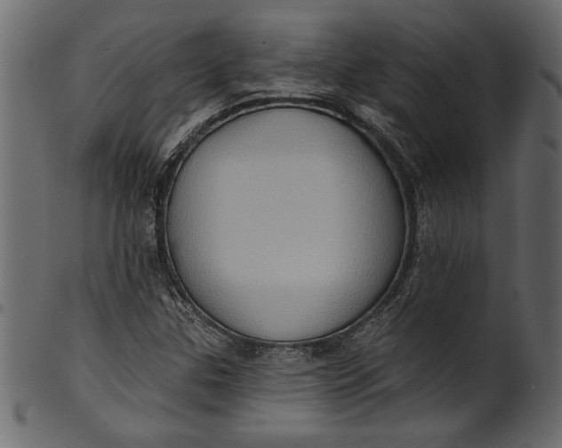 X0000101211307200807181409