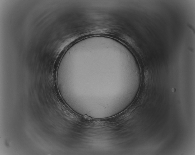 X0000101211308200807181409