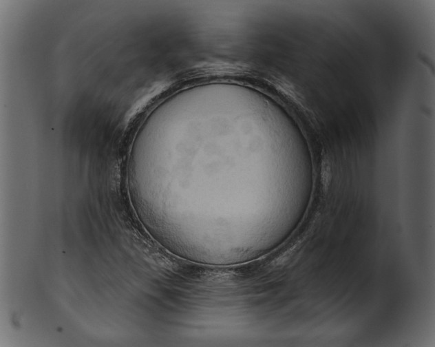 X0000101211309200807181409