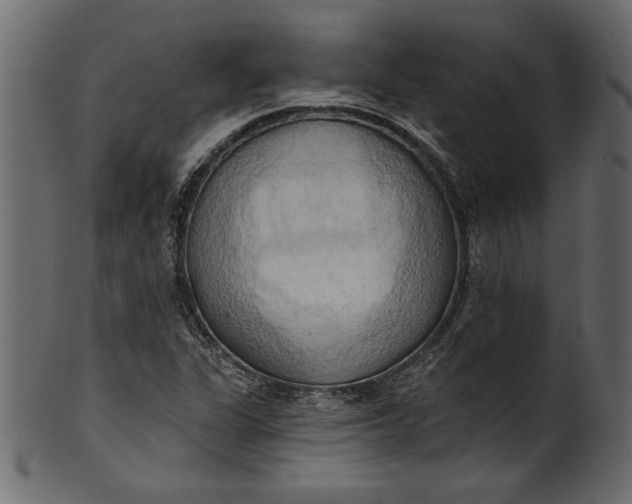 X0000101211311200807181409