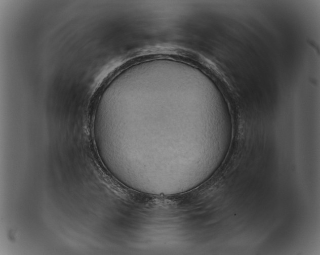 X0000101211312200807181409