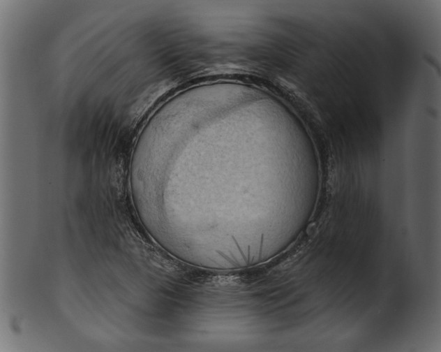 X0000101211313200807181409