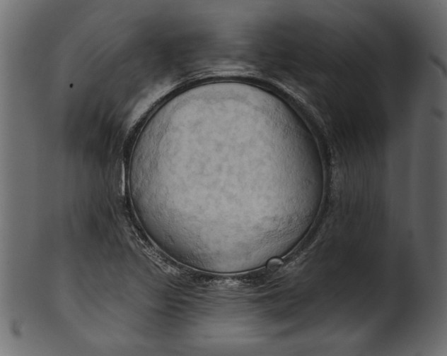 X0000101211317200807181409