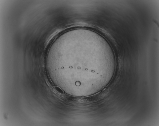 X0000101211318200807181409