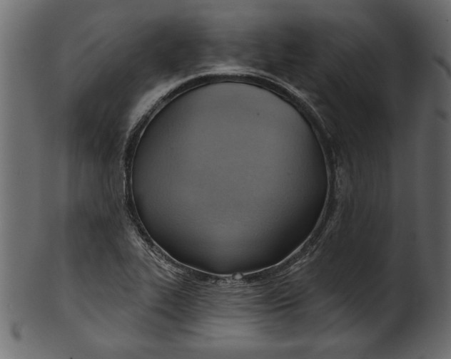 X0000101211319200807181409