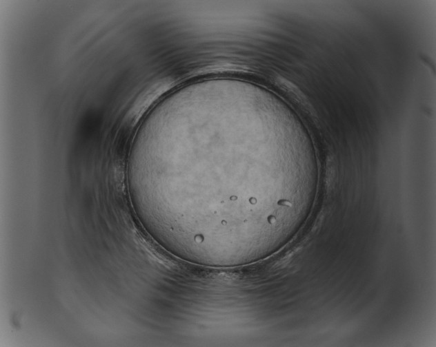 X0000101211321200807181409