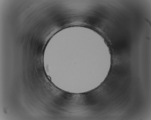 X0000101211322200807181409