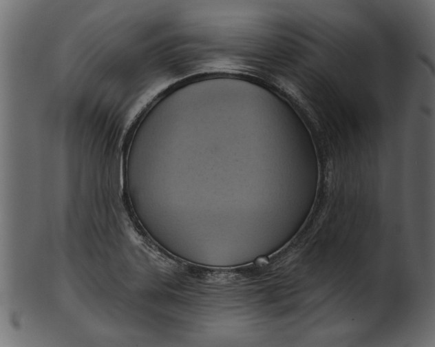 X0000101211323200807181409