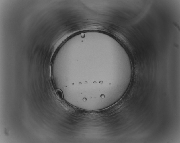 X0000101211324200807181409