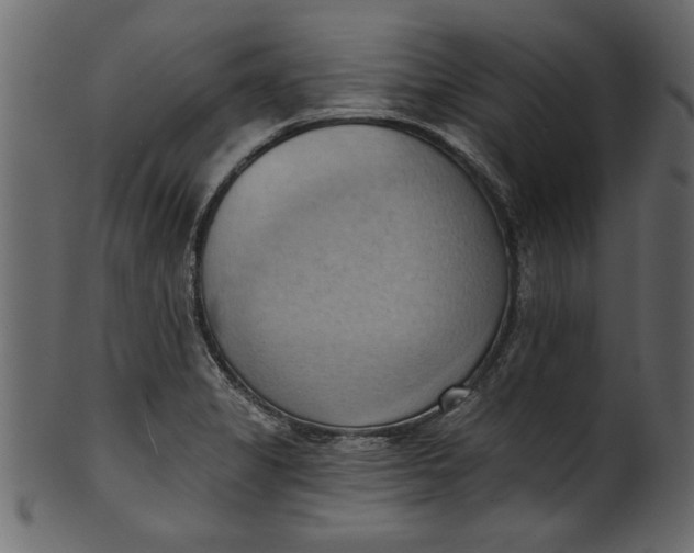 X0000101211325200807181409