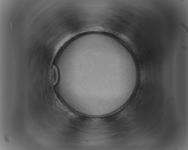 X0000101211326200807181409