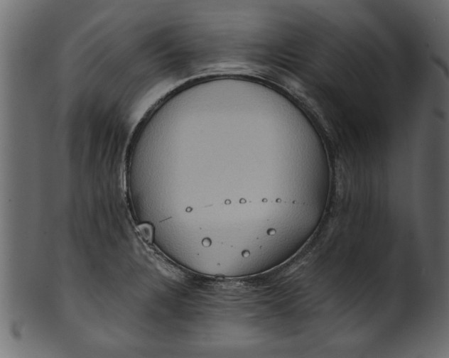 X0000101211328200807181409