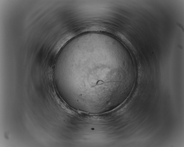 X0000101211329200807181409