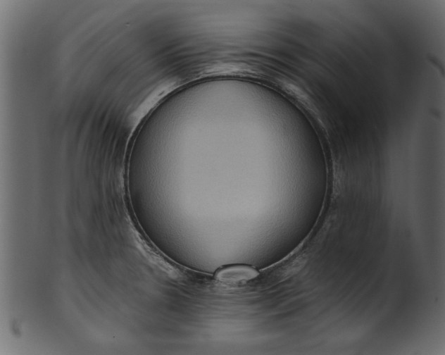 X0000101211330200807181409