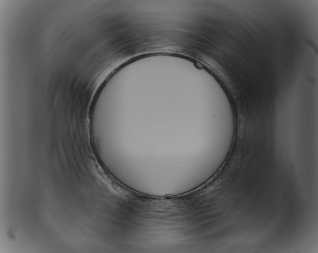 X0000101211332200807181409