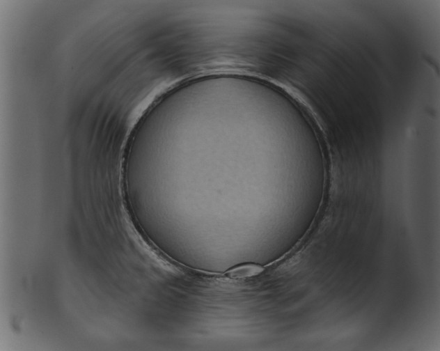 X0000101211333200807181409