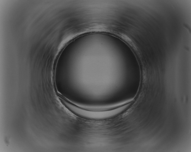 X0000101211334200807181409