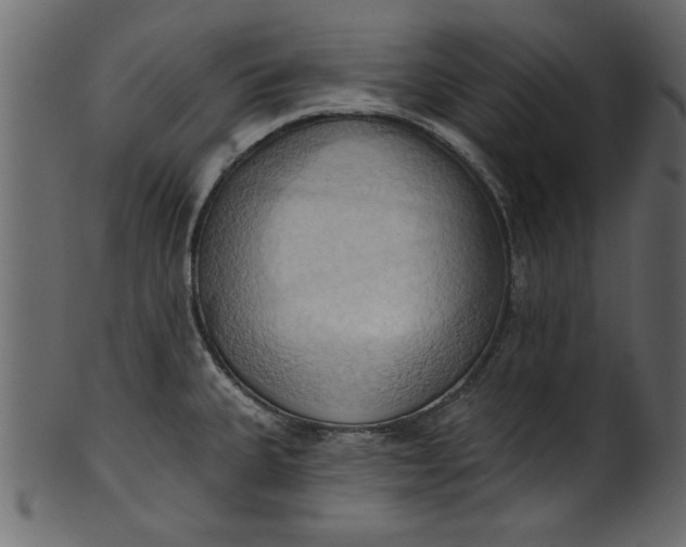 X0000101211335200807181409