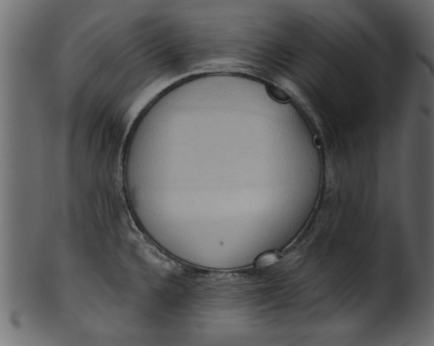 X0000101211336200807181409