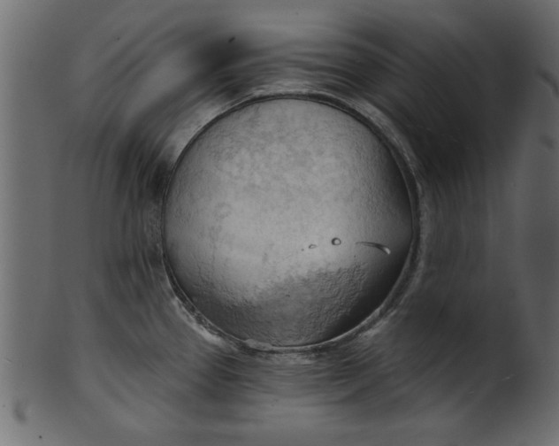 X0000101211337200807181409