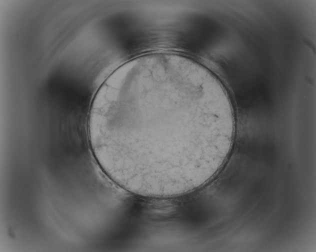 X0000101211338200807181409