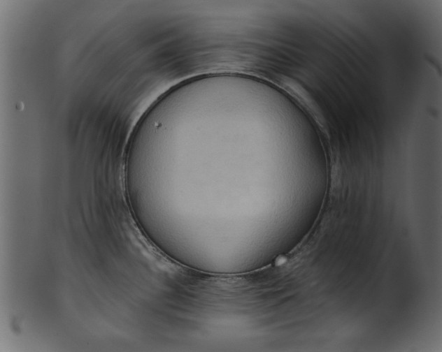 X0000101211340200807181409