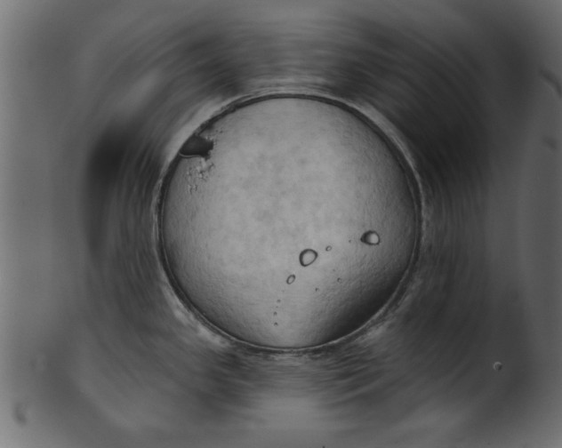 X0000101211341200807181409