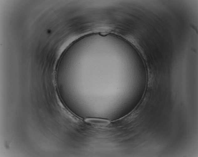 X0000101211342200807181409