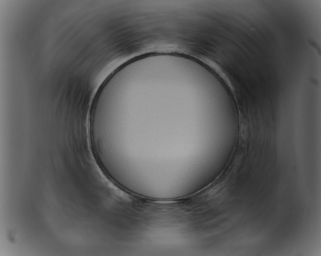 X0000101211343200807181409