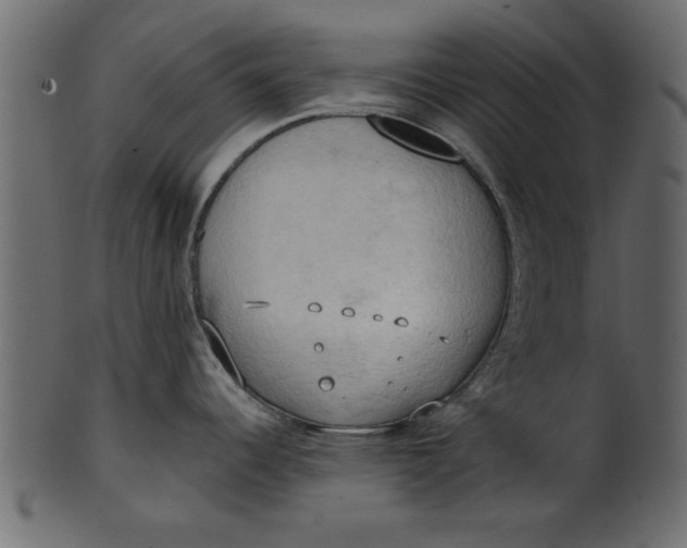 X0000101211344200807181409