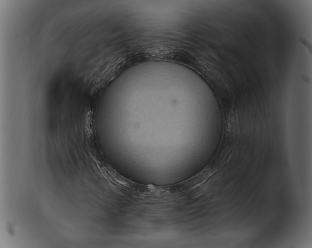 X0000101211346200807181409