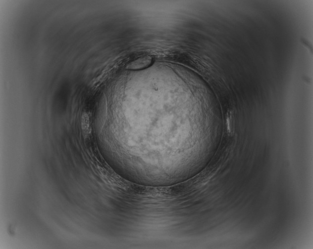 X0000101211347200807181409