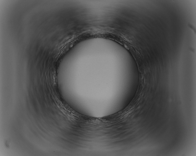 X0000101211348200807181409