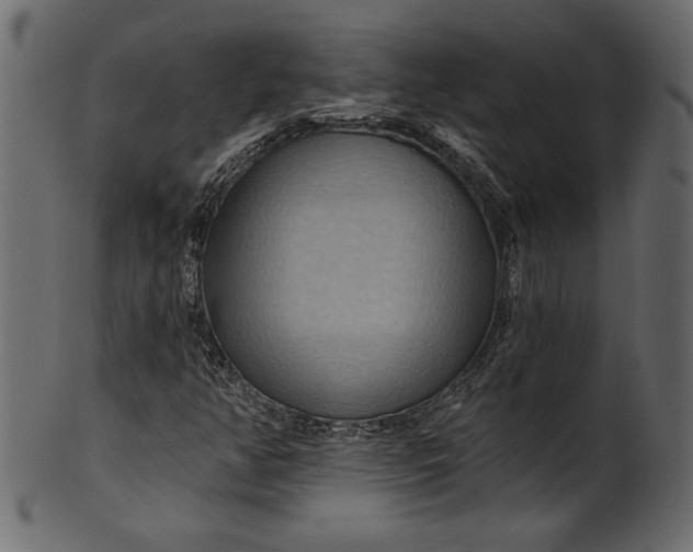 X0000101211350200807181409