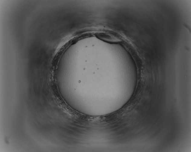 X0000101211352200807181409