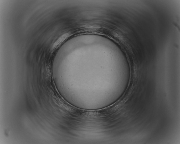 X0000101211354200807181409