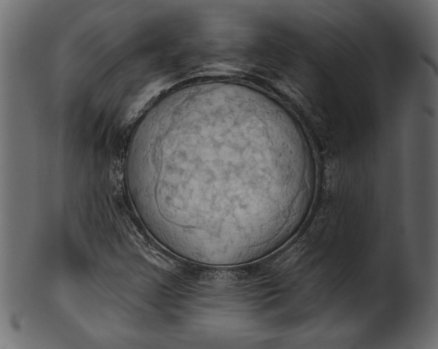 X0000101211355200807181409