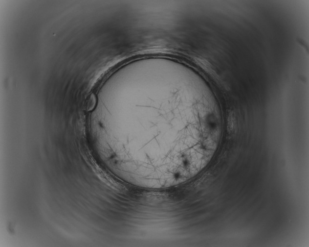 X0000101211356200807181409