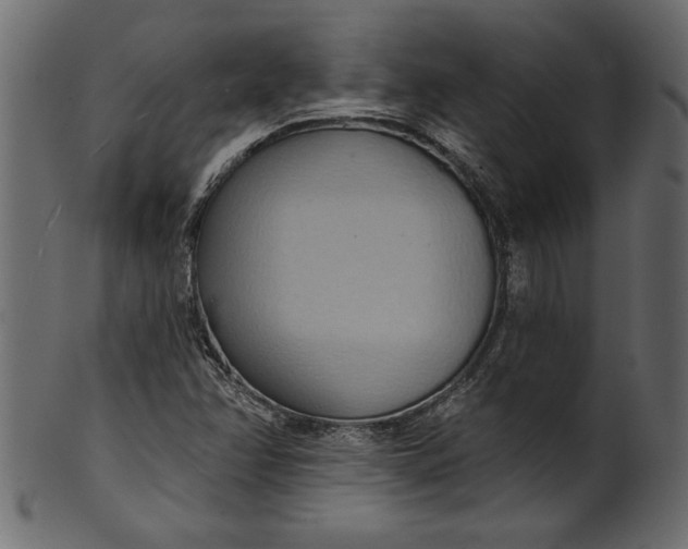 X0000101211358200807181409