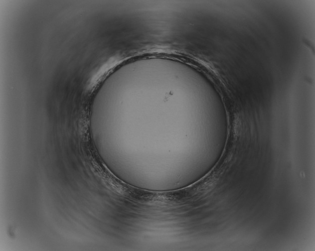 X0000101211359200807181409