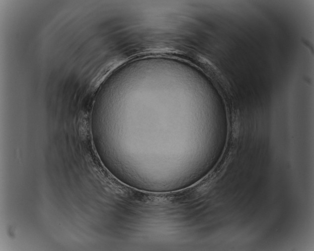 X0000101211361200807181408