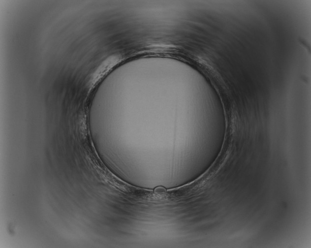 X0000101211362200807181408