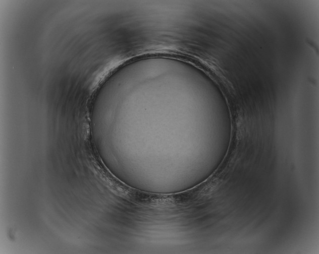 X0000101211363200807181408