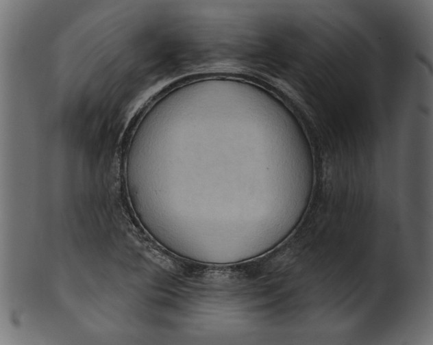 X0000101211364200807181408