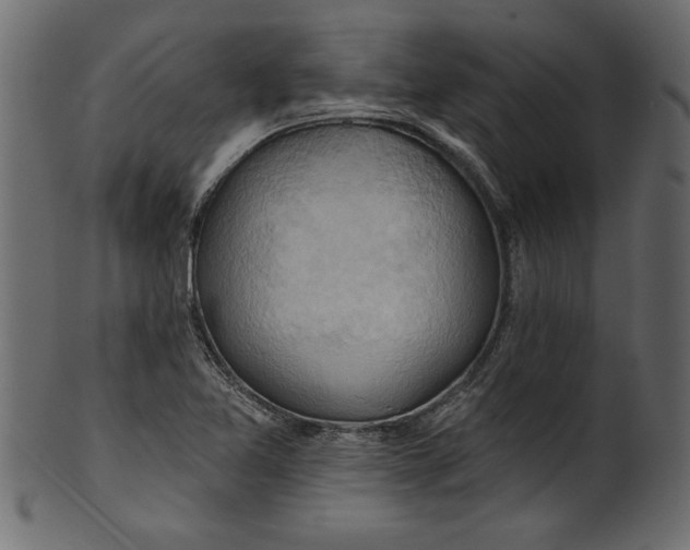 X0000101211365200807181408