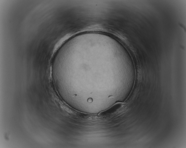 X0000101211366200807181408