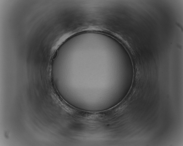 X0000101211367200807181408